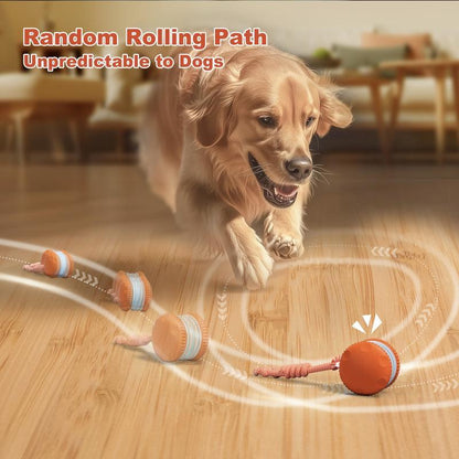 Interactive Rolling Dog Toy