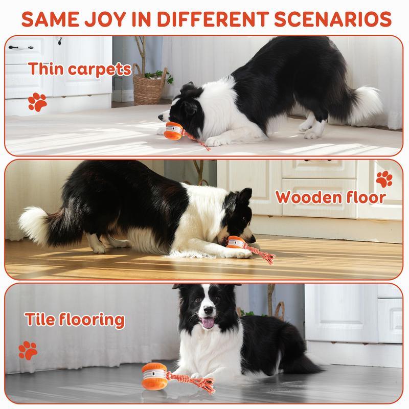 Interactive Rolling Dog Toy