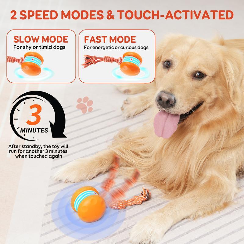 Interactive Rolling Dog Toy