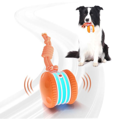 Interactive Rolling Dog Toy